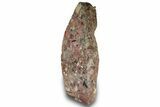 Free-Standing Polished Brecciated Chert Section - Australia #314260-2